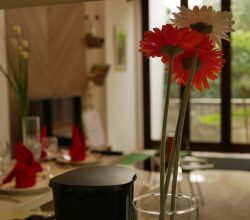 Home Buying Tips – Choosing the Right Style and Color For Your Home